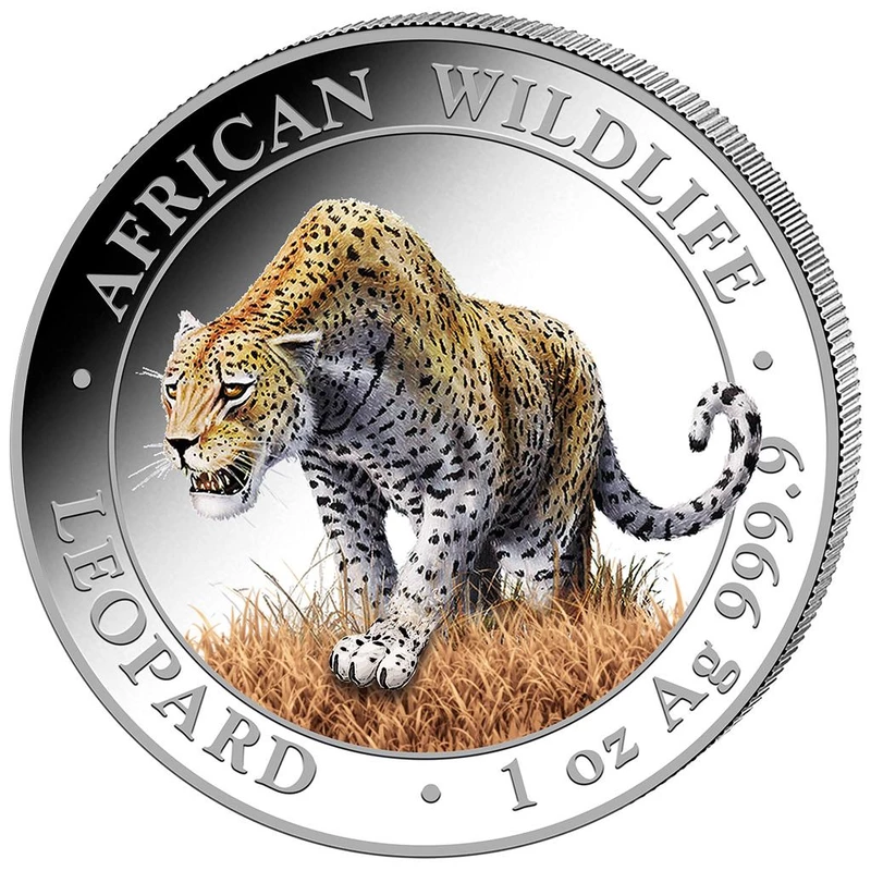 Somali silver coin 