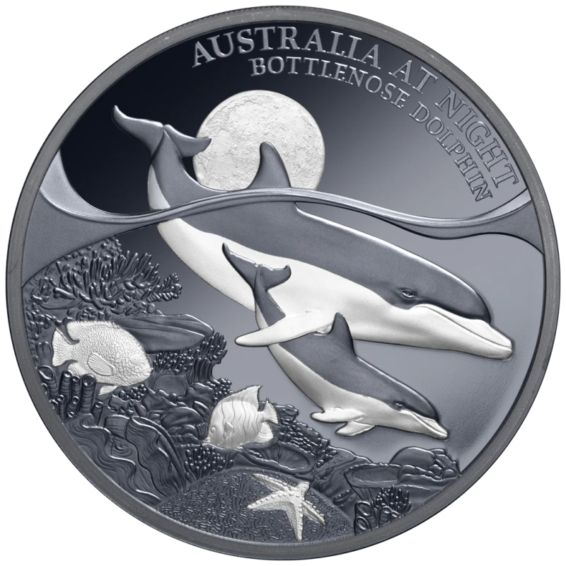 Niue: silver coin Bottlenose Dolphin 2025 Proof 1 oz Collectible coins