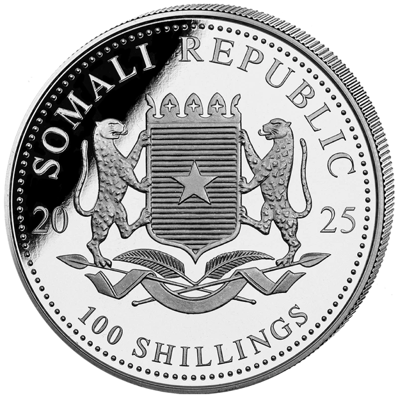 Somálsko Stříbrná mince Africká divoká zvěř Leopard 2025 zlacená 1 unce Sběratelské mince