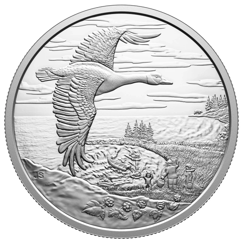Canada: silver coin Connected Nature 2025 Proof 31,39 g Collectible coins