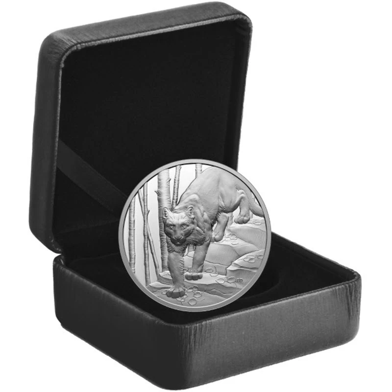 Kanada: stříbrná mince Cougar 2024 Proof 1 unce Sběratelské mince