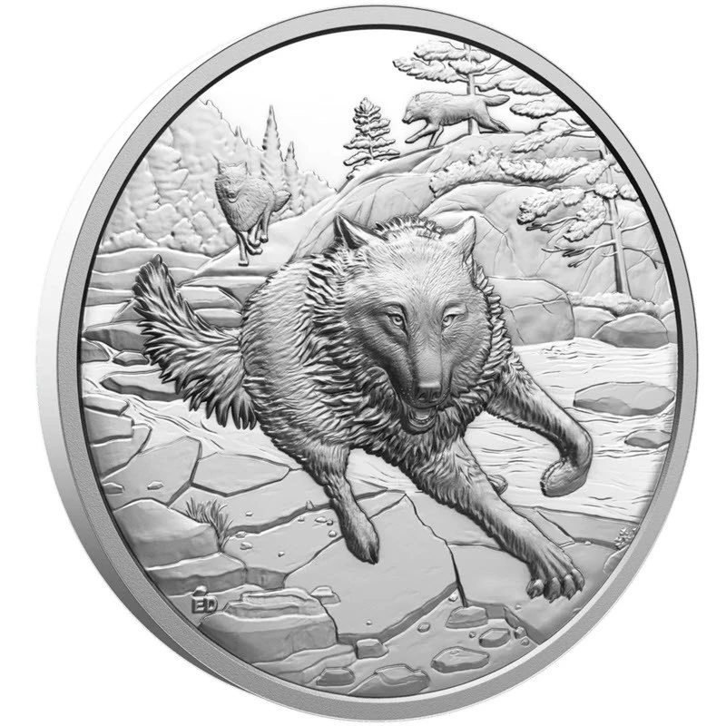 Kanada: stříbrná mince Gray Wolf 2025 Proof 1 unce Sběratelské mince