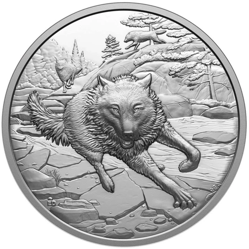 Kanada: stříbrná mince Gray Wolf 2025 Proof 1 unce Sběratelské mince