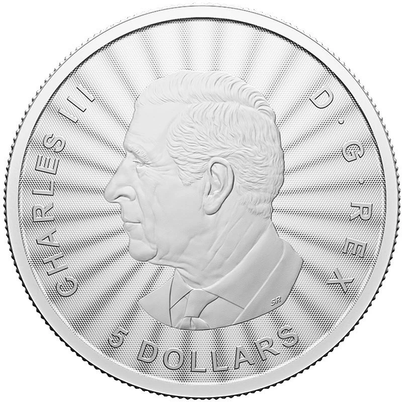 Kanada: stříbrná mince The Majestic Polar Bear 2024 1 unce Sběratelské mince