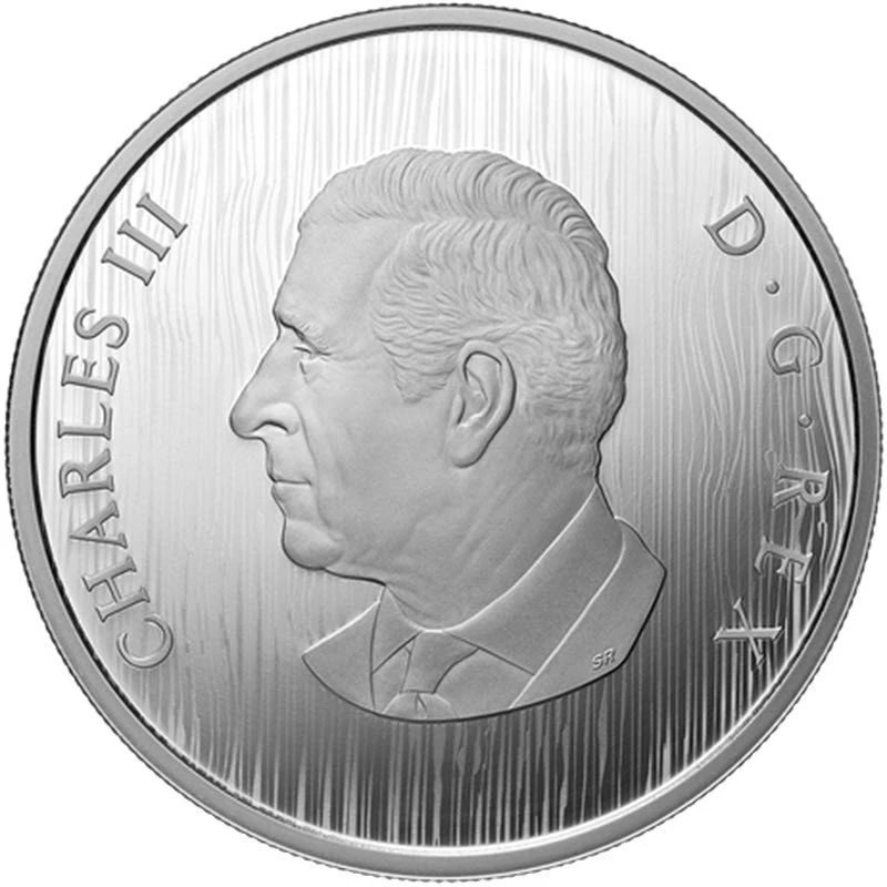 Kanada: stříbrná mince Heraldický lev 2026 Proof 68 g Sběratelské mince