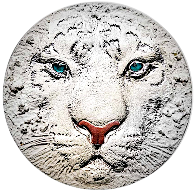 Niue: silver coin White Tiger 2022 3 oz Collectible coins