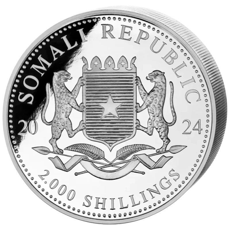 Somálsko Stříbrná mince Africká divoká zvěř Leopard 2024 1000 g Sběratelské mince