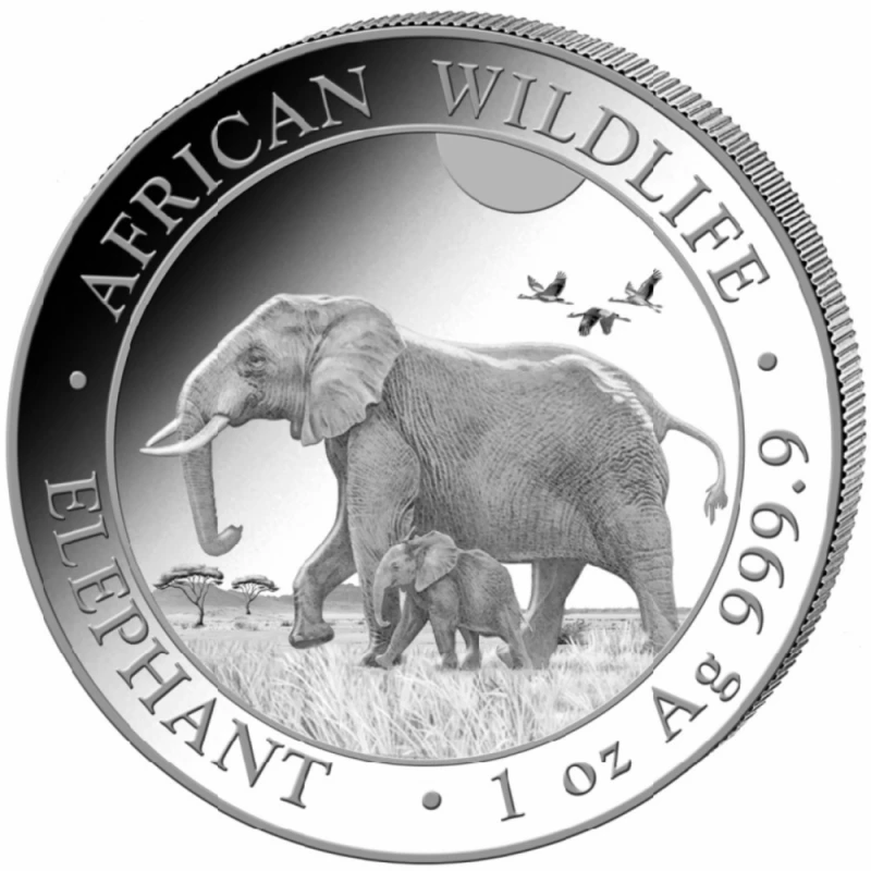 Somálsko Investiční mince African Wildlife Elephant 2022 1 unce Investiční mince