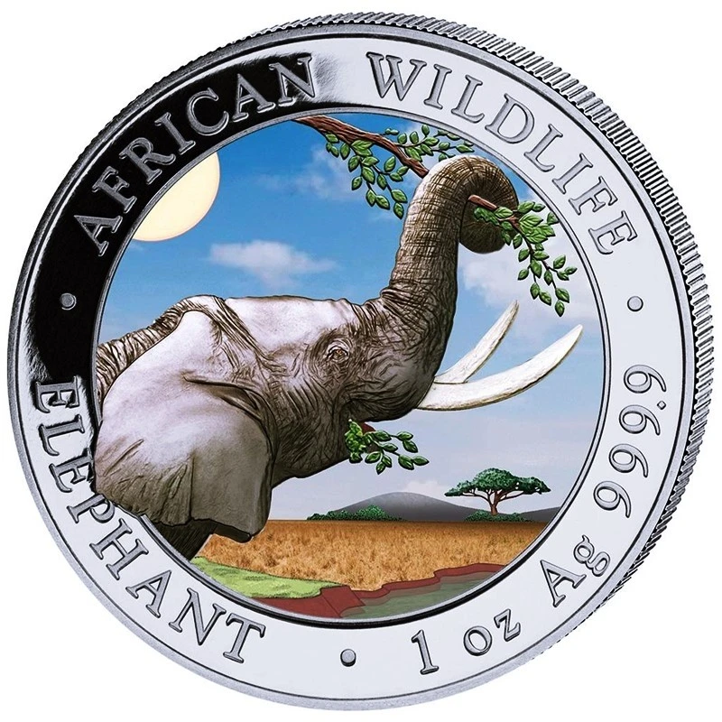 Somálsko Stříbrná mince African Wildlife Elephant 2023 Colored Day Design 1 unce Sběratelské mince