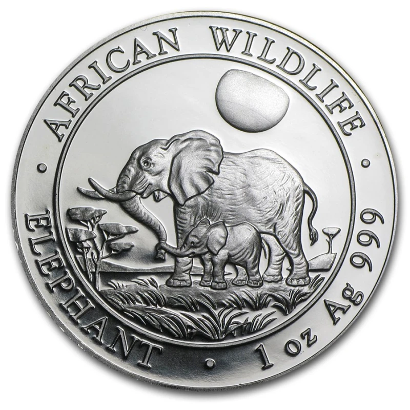 Somálsko Stříbrná investiční mince African Wildlife Elephant 2011 1 unce Investiční mince
