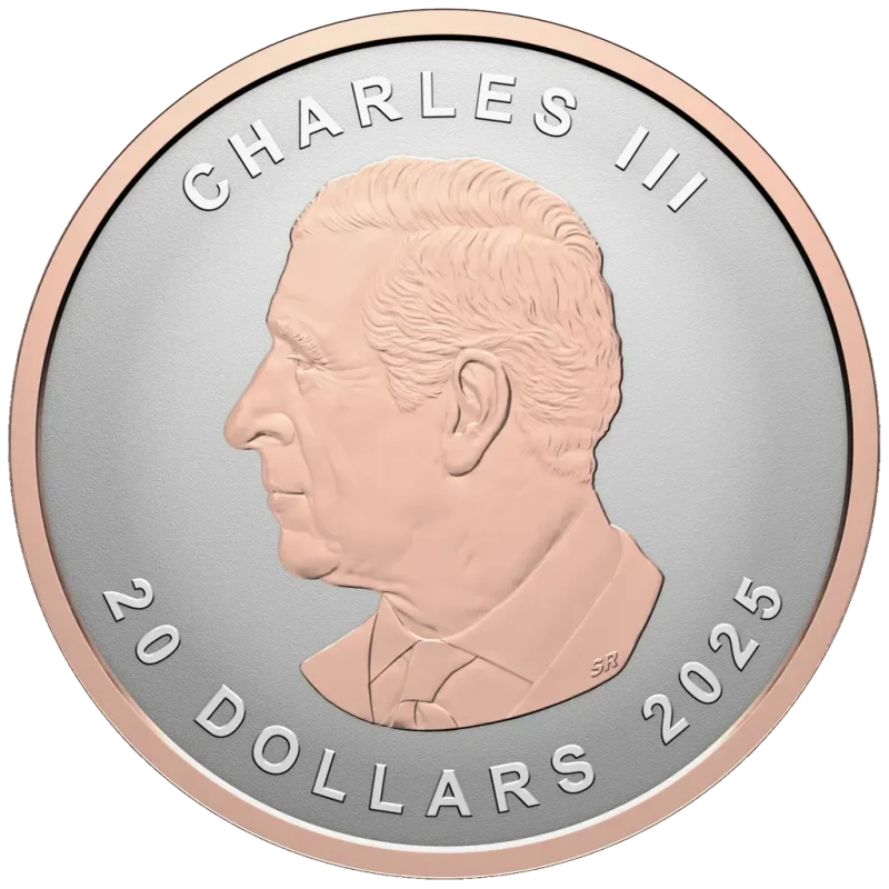 Kanada Stříbrná mince Maple Leaf 2025 Rose Gold Plated 1 unce Sběratelské mince